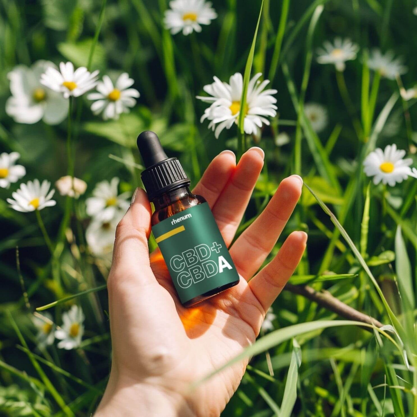 RELAX Hanf-Tropfen | Natürliche Tiefenentspannung