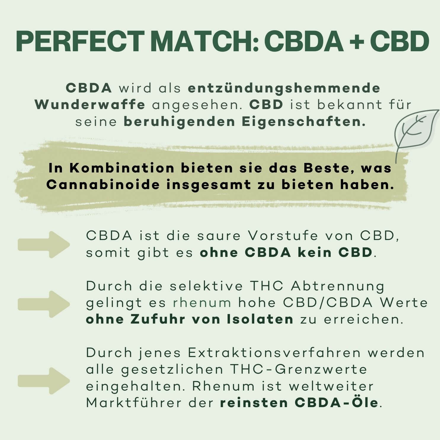 regenerate_oil_rhenum_cbda_sport_perfectmatch_cbd_15%_cannabinoide